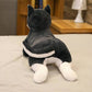 Cute Plush Puppy Toy for Baby Soft Stuffed Animal Infant Gift