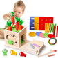 Montessori 8-in-1 Object Permanence Box Educational Toy for Toddlers